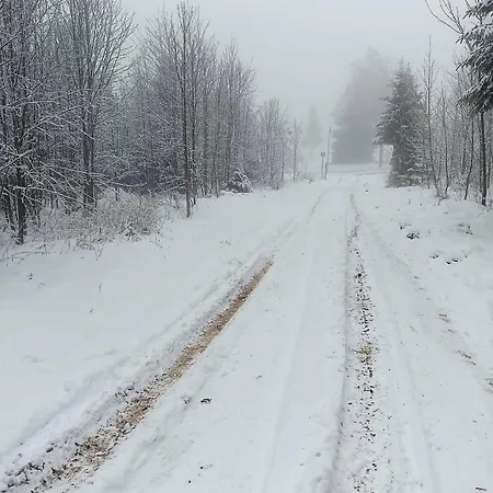 Bergluft 2etage Kein Aufzug *