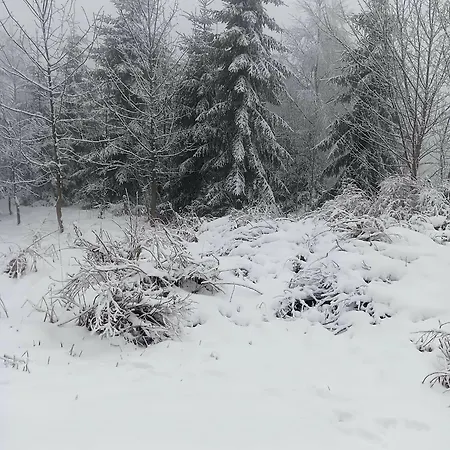 Bergluft 2etage Kein Aufzug 约翰乔治城