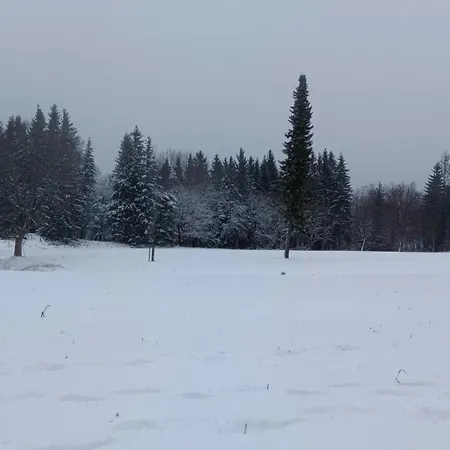 Bergluft 2etage Kein Aufzug *